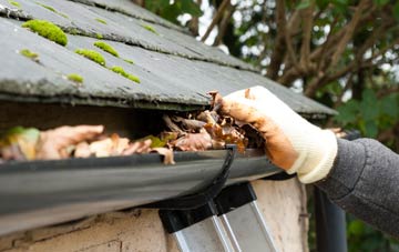 gutter cleaning White Hill