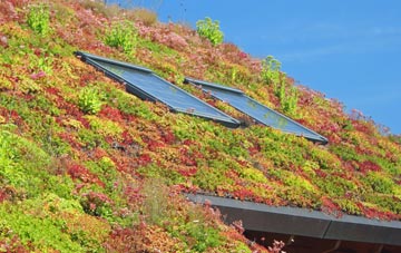White Hill living roof systems
